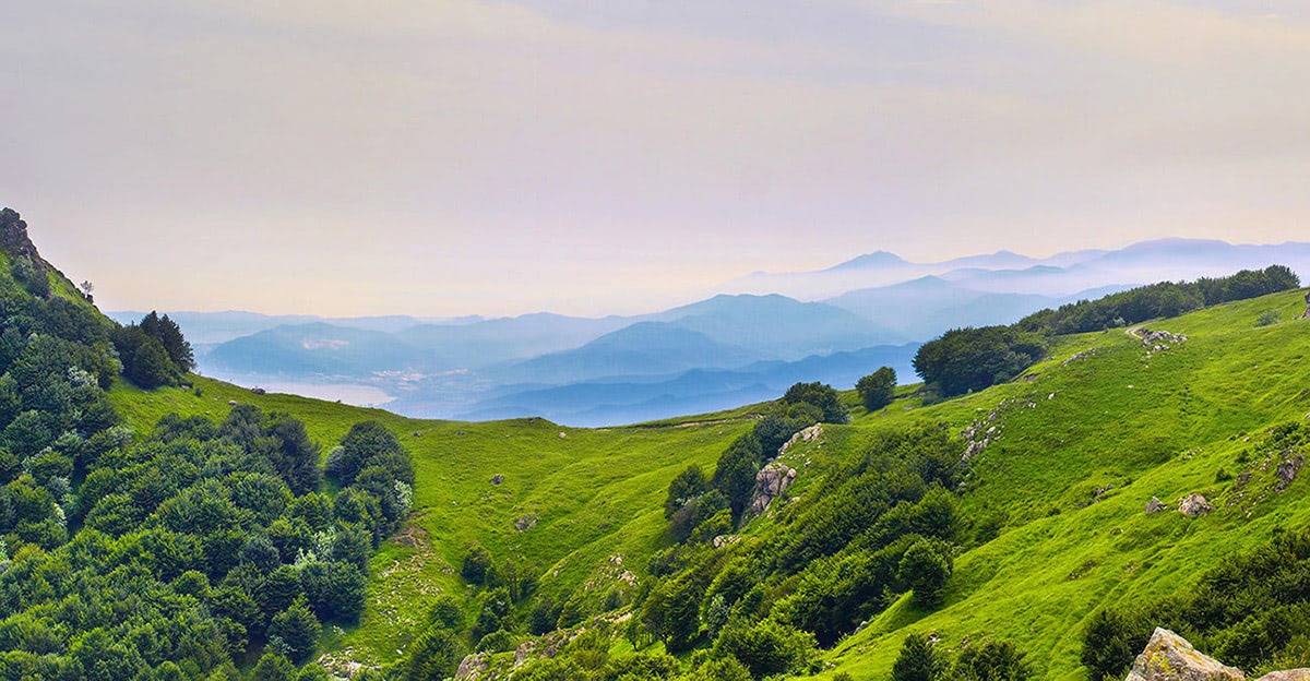 Verde Cream - Italian Landscape