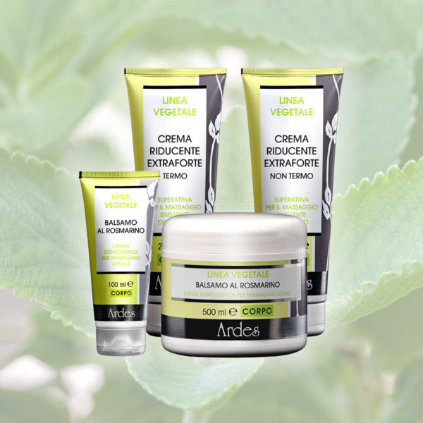 Verde Cream - Ardes - Vegetable Line Range